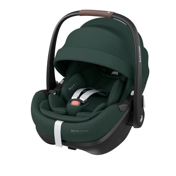 Maxi Cosi Fame Twillic Green 5in1 Set